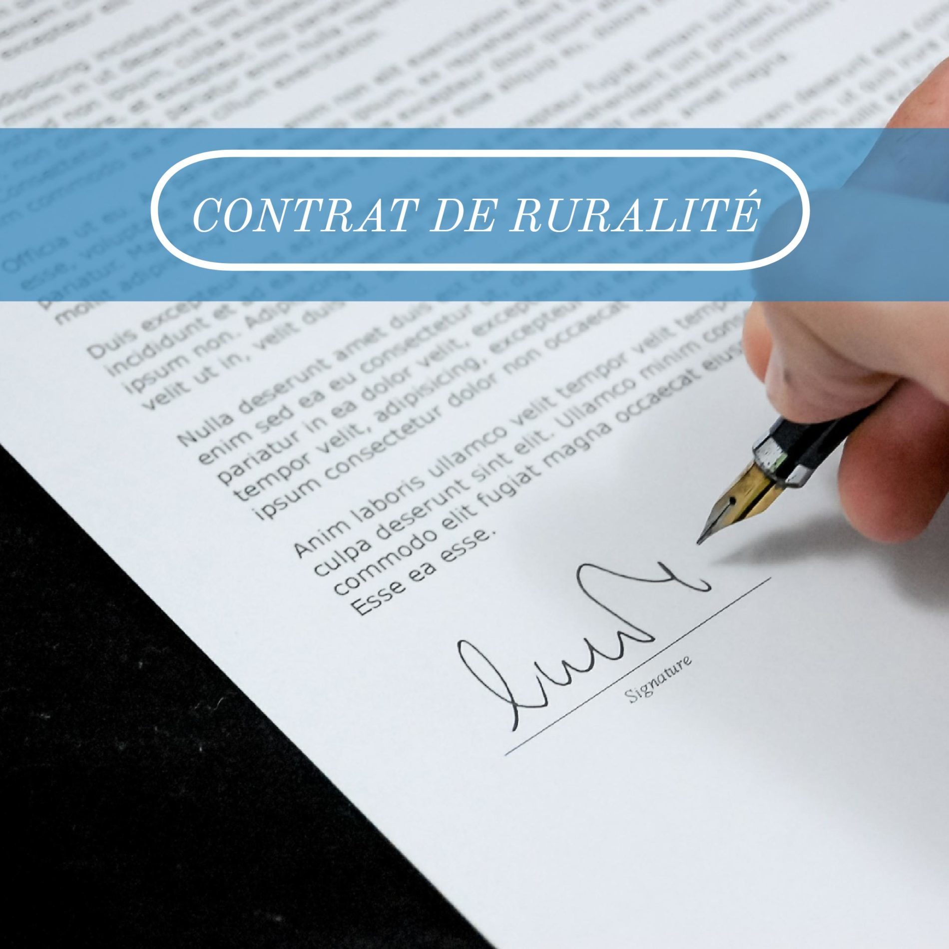 Lire la suite à propos de l’article « De Decize à Cosne : 1,9 millions d’euros injectés dans le Contrat de Ruralité en 2017 »