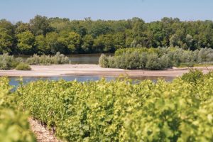 Canoé sur la Loire