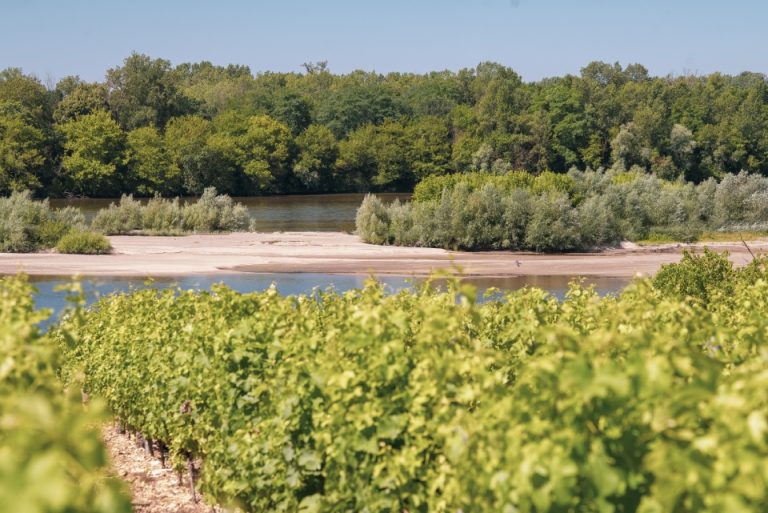 Canoé Loire