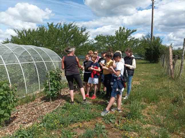 atelier-d'éducation-à-l'alimentation